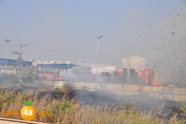 firecartoonsecnd506 (20).JPG